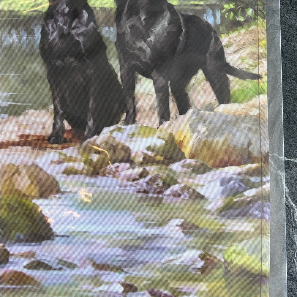 NWT - Evergreen Garden Flag - Black Labrador lake setting - Picture 5 of 5